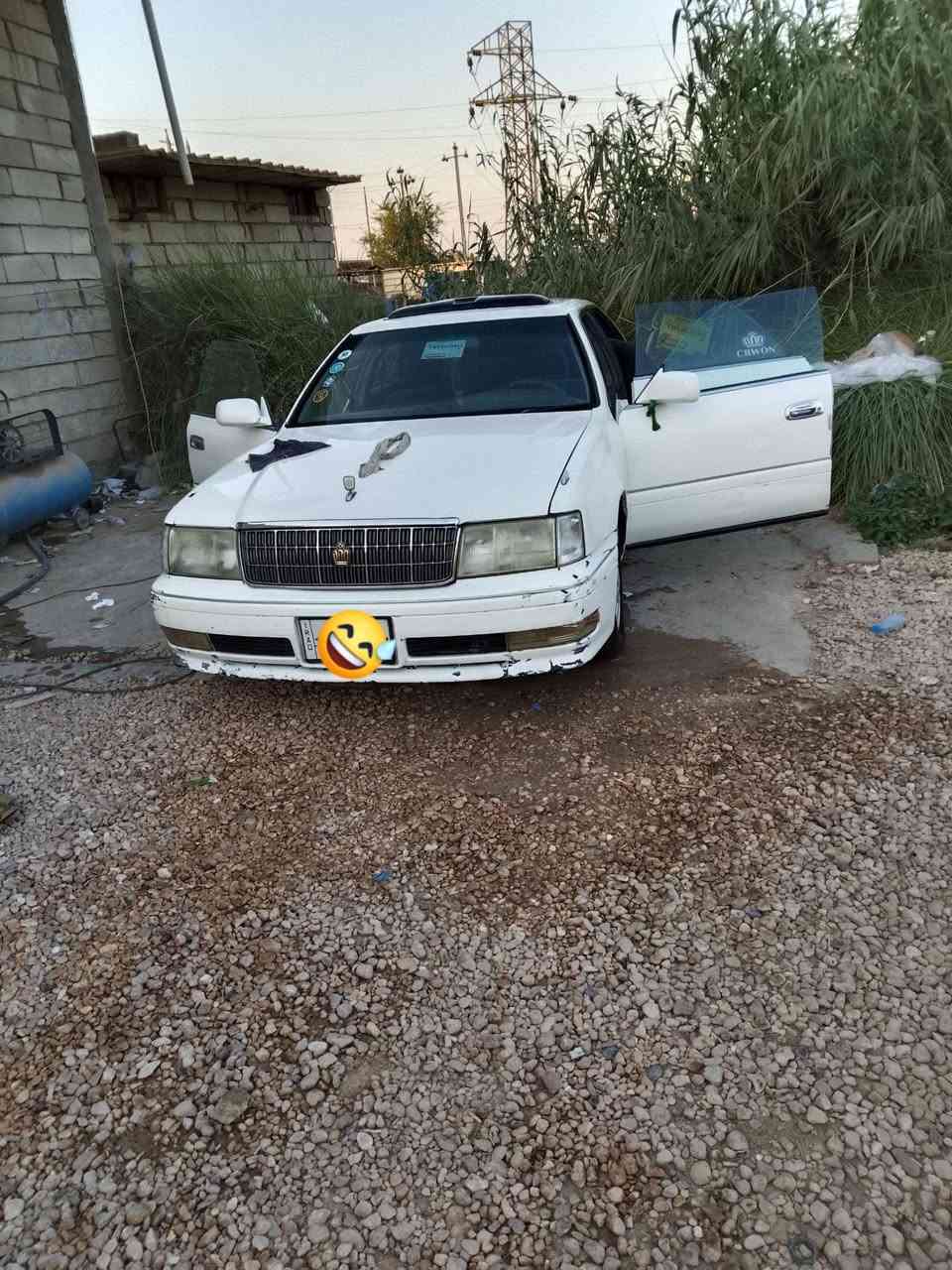 ***********.   ***********.   مراوس ملكه
