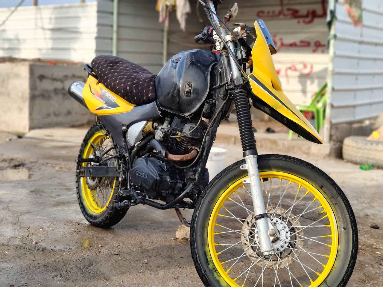 قفاز • دايون • جبلي