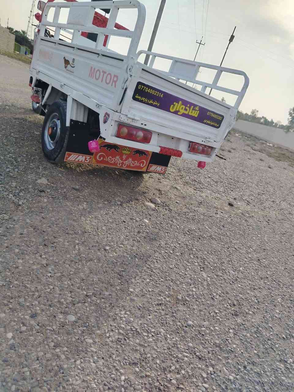 ستوته • موديل ٢١ • أوراق جنوبيه