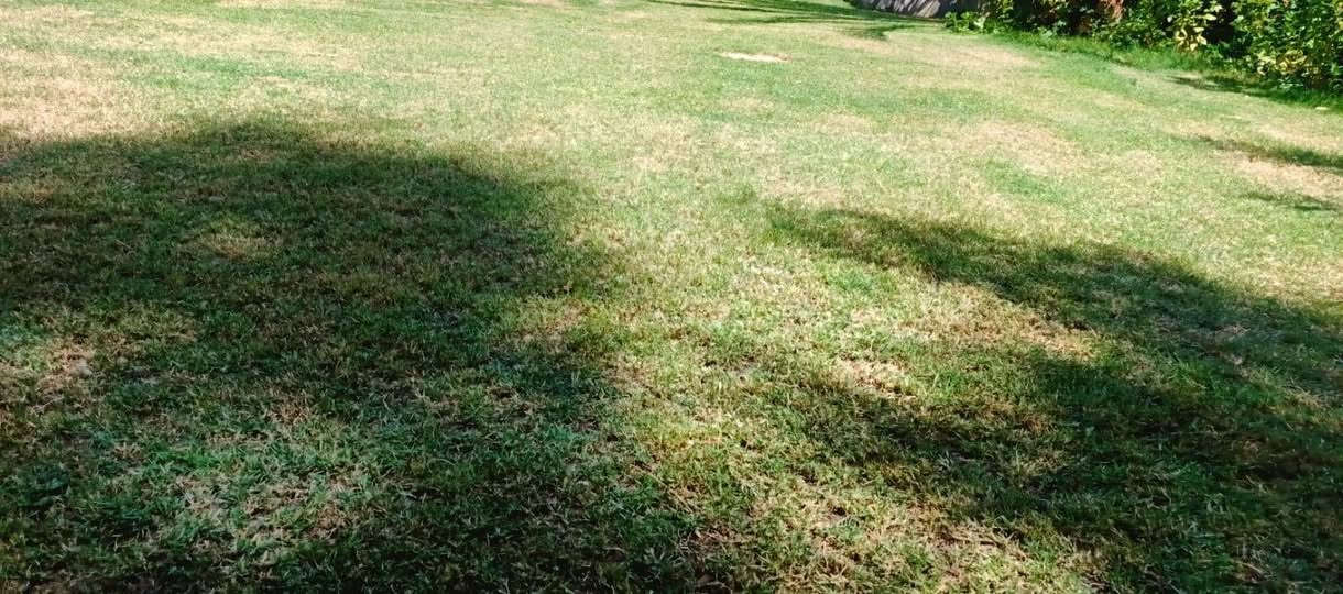 السلام عليكم 

يوجد مكينه ل اجمل قصات الحدايق و بانسب الاسعار 

ماعليك غير تتصل واجيك ل باب البيت 

ه‍ ***********

ه‍ ***********
