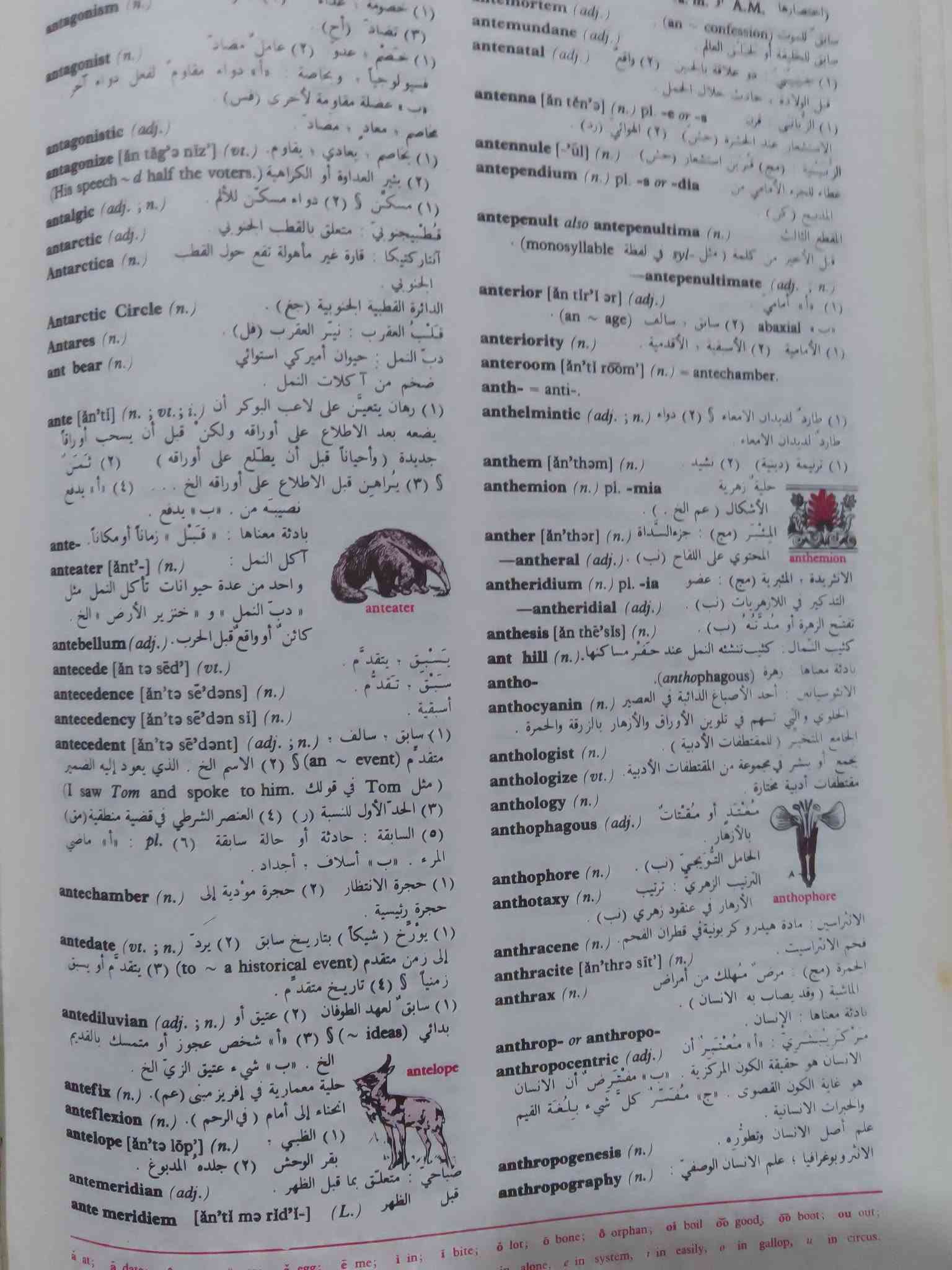 قاموس المورد • طبعة اصلية