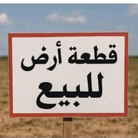 ارض زراعي • ٤٠٠م • سند ٢٥