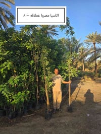 وبركاته  موسم خير وبركة   إخواني الكرام الفقرات الجديدة المتوفرة حاليا...
