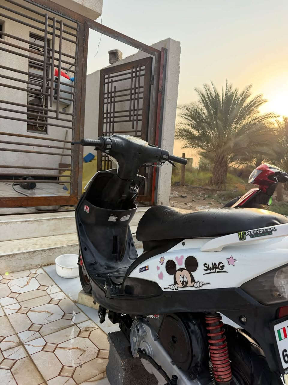 ماكس • نضيف • بوشته