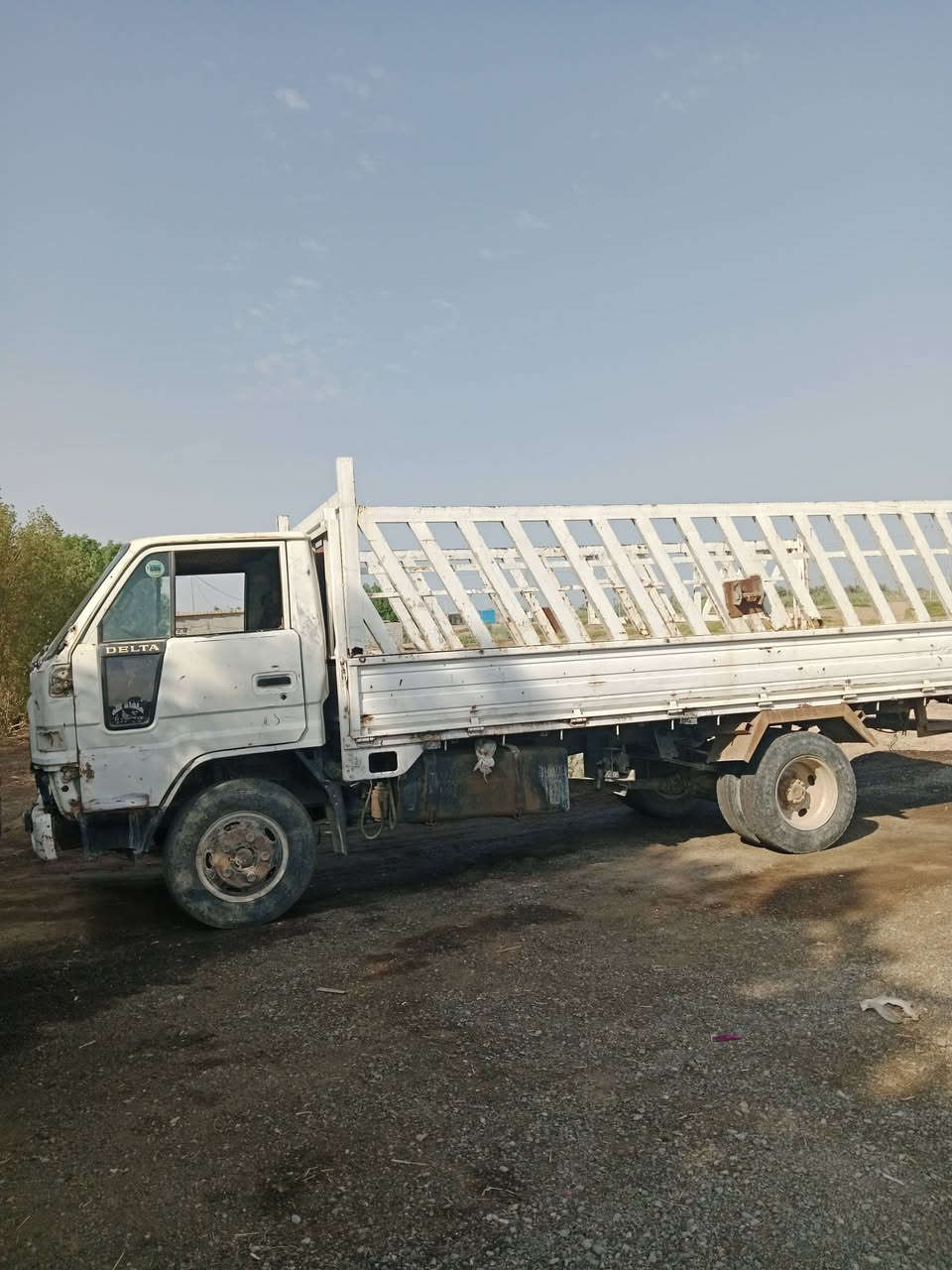 داينه • شاحنة • للبيع