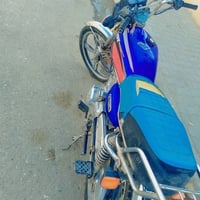 سيفانه • ٢٠٢٣ • كهربايات شغاله