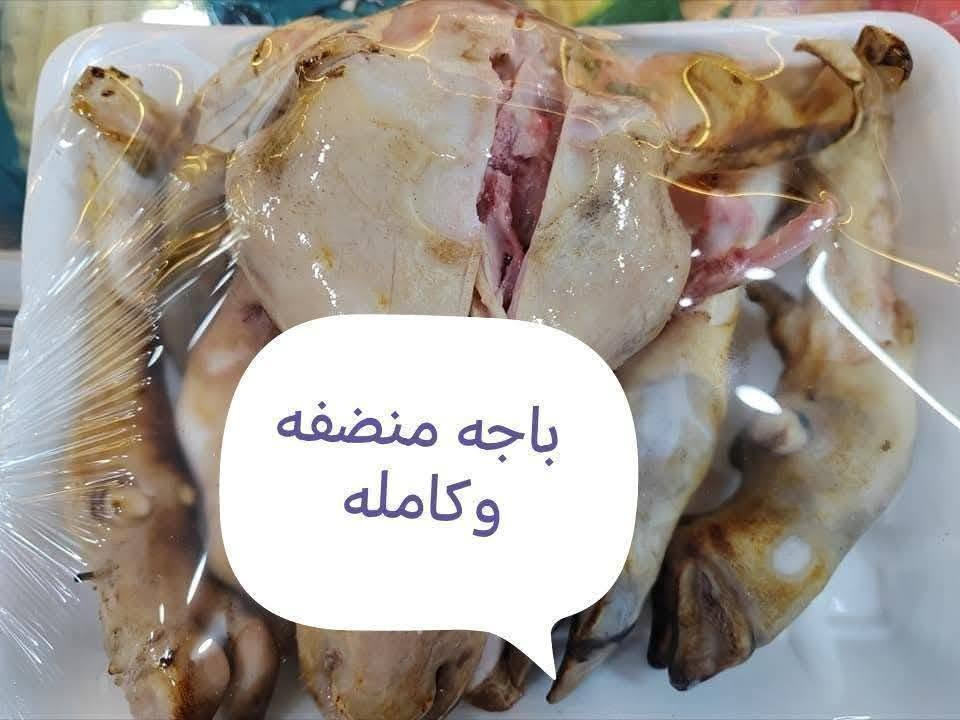 باجات • منضفة • توصيل