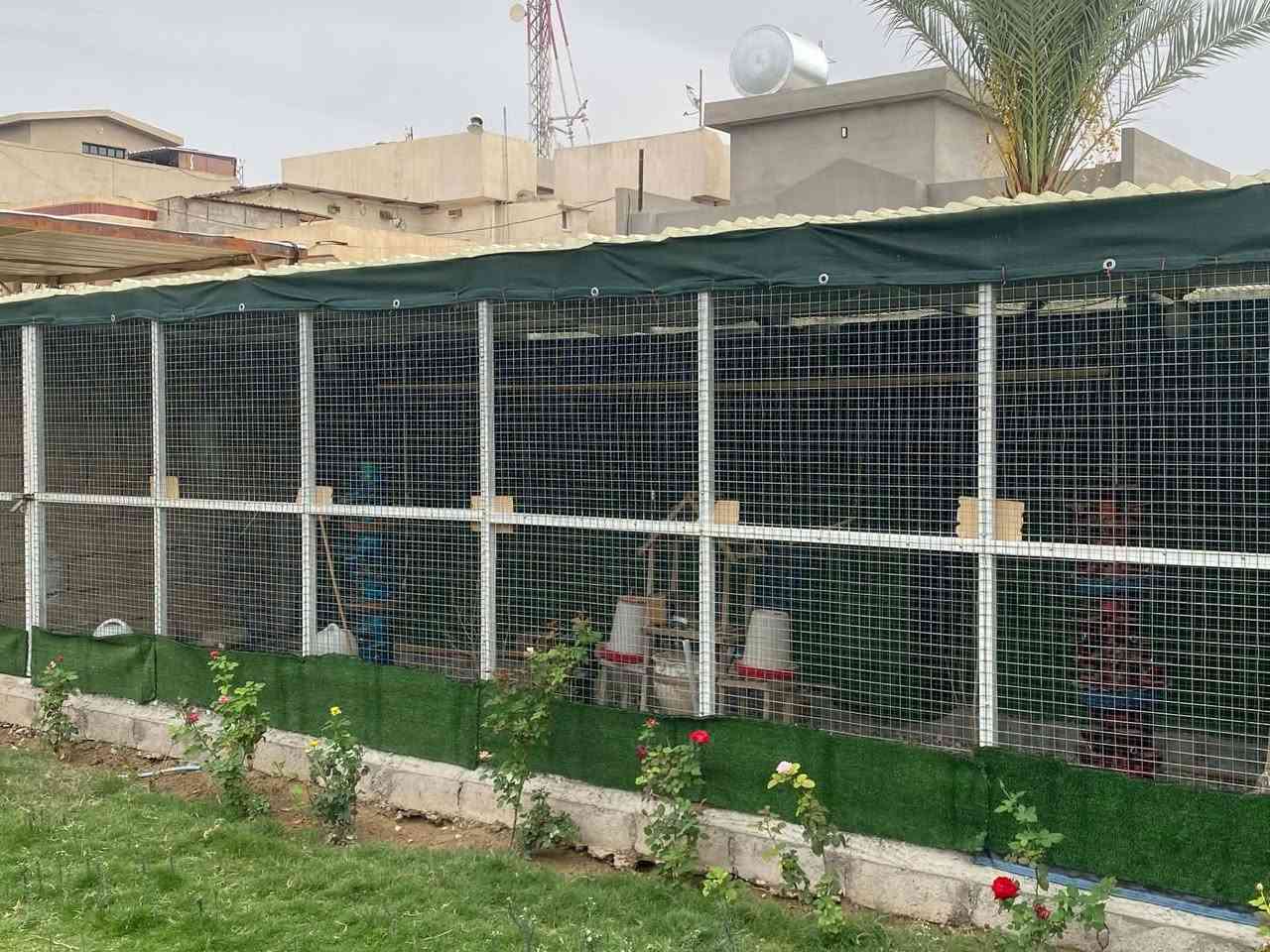 أقفاص تفصيل • طول ٨م • كركوك جسر الرابع