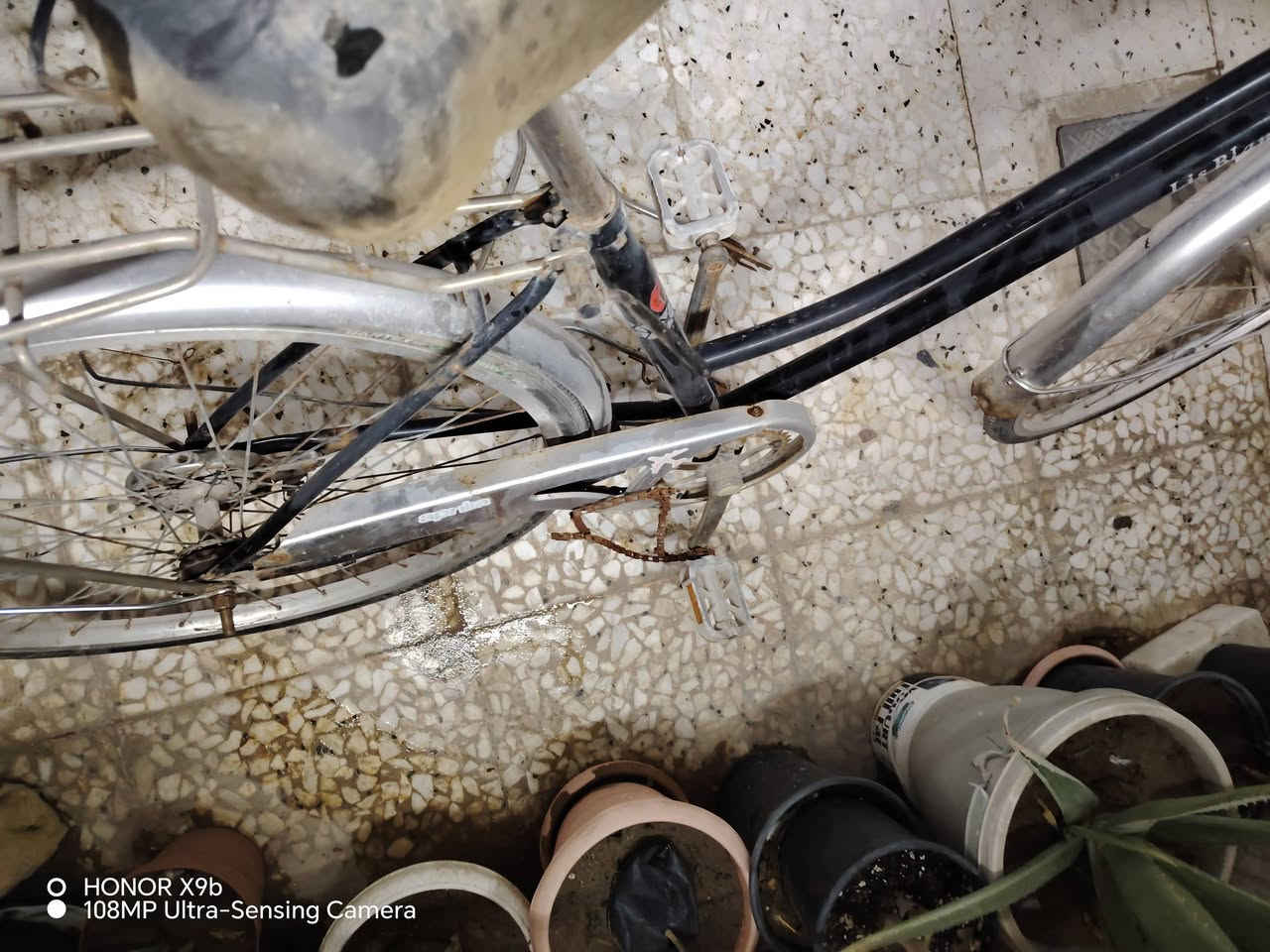السلام عليكم
باسكلات ثنين للبيع واحد 26 والثاني 27 يابانيات انضاف  يرادلهن ترتيبات بصيطة. المكان حله مركز المدينة. هذا رقمي *********** بي واتساب. السعر 120 وبي مجال

نص مكتوب في الصور:
- HONOR X9b
- 108MP Ultra-Sensing Camera
- O HONOR X9b 108MP Ultra-Sensing Camera
- HONOR X9b 108MP Ultra-Sensing Camera