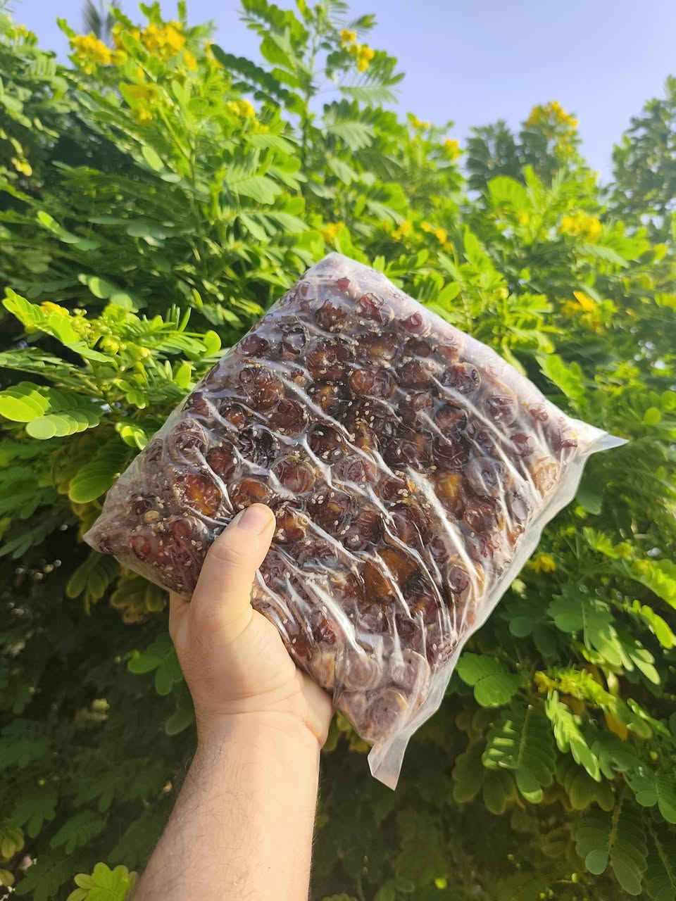 تمر برحي • شغل بيت درجة أولى • توصيل كل العراق