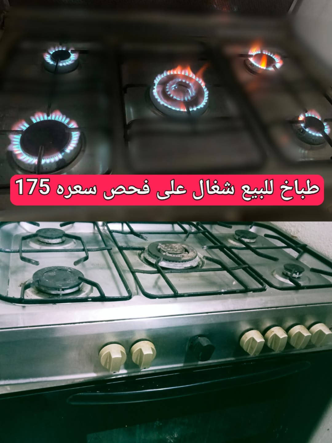طباخ • شغال • على فحص