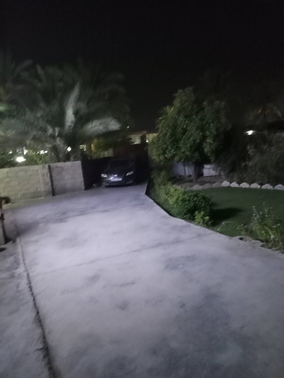 قرية الرواد • ٣٥٠م • حديقة مزروعة