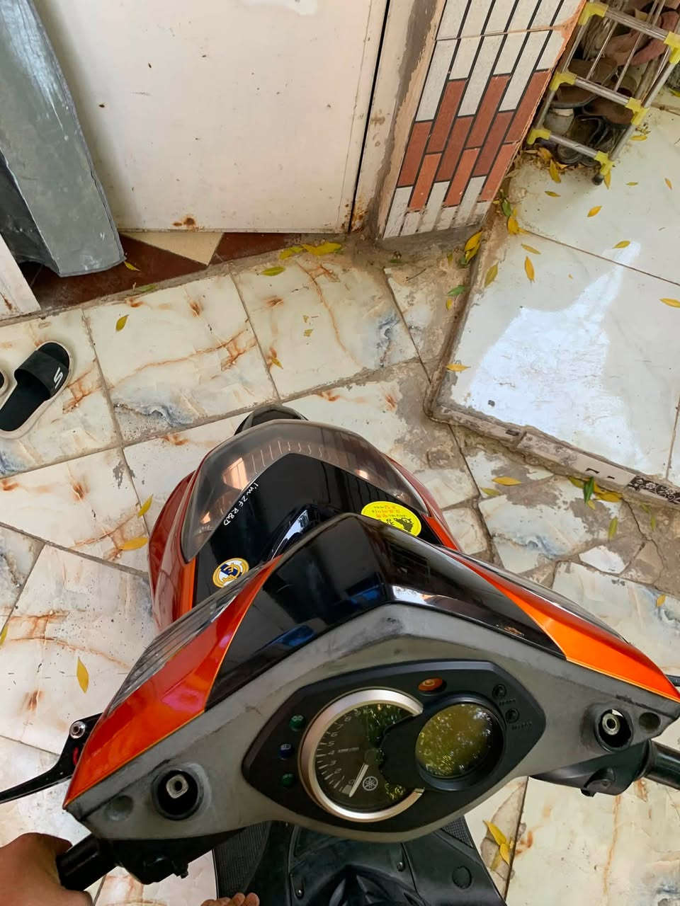 سكنس فحل نوزل خطين طلاعات دراجه فول تزويد مكينه ٥٨ ونص بلاد كلجات رياضي منضومه كامرات دراجه ع وضع رمبه كلش نضيفه ماشيه بس 22 الف للبيع سعرها 1350 بيه مجال للشراي مكاني بابل الاسكندريه ***********
