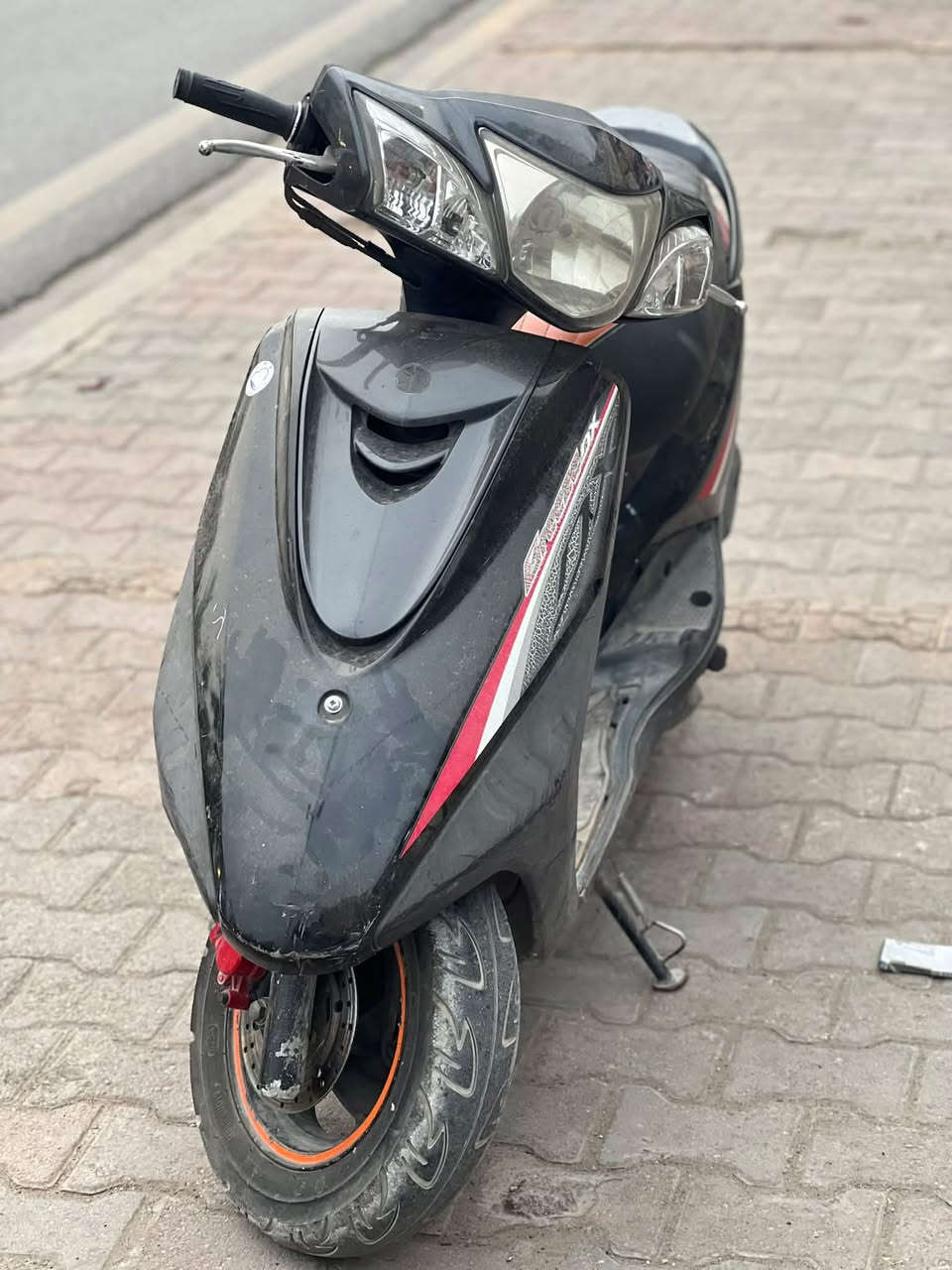 بريز ببغاء • جديدة • الحريه