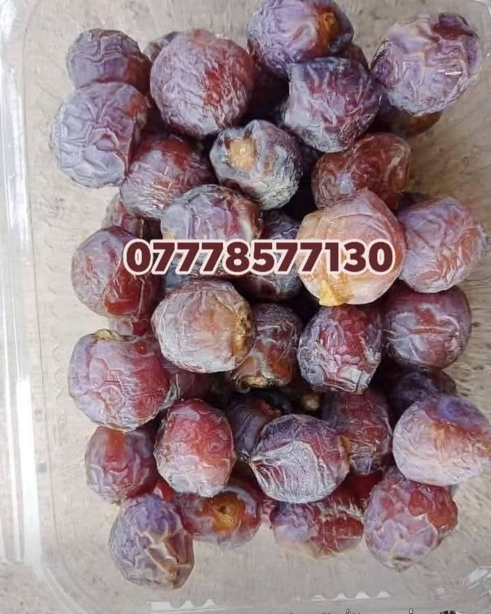 🌴🌟 تتوفر لدينا كافة أنواع الفسائل بأصناف مميزة ومضمونة 🌟🌴

الأنواع المتوفرة:
💎برحي 🪴 خستاوي 🪴 بريم 🪴 عمران 🪴 تبرزل 🪴 مكتوم 🪴 جمالي 🪴 اشرصي 🪴 بربن 🪴 حمراوي 🪴 شكر 🪴 شوثي أصفر 💎

💥 جميع أنواع الفسائل مقدمه ، خاصة من مزارعنا.
💥 متوفرة بأحجام متعددة حسب الطلب، وتشمل الفسائل للأمهات والذكور.

🚚 توصيل لجميع محافظات العراق للطلبات 10 نخلات فما فوق.

📞 لمعرفة الأسعار أو الاستفسار، يرجى مراسلتنا من الزر اسفل المنشور او على الارقام:

📲 ***********
📲 ***********

💼 جاهزون لتجهيز دوائر الدولة، المشاتل، والمزارع الخاصة والعامة.
✨ فضلاً، ندعوكم لدعم صفحتنا عبر المتابعة والمشاركة، وتحية حب وتقدير لكم 🌻🌻
