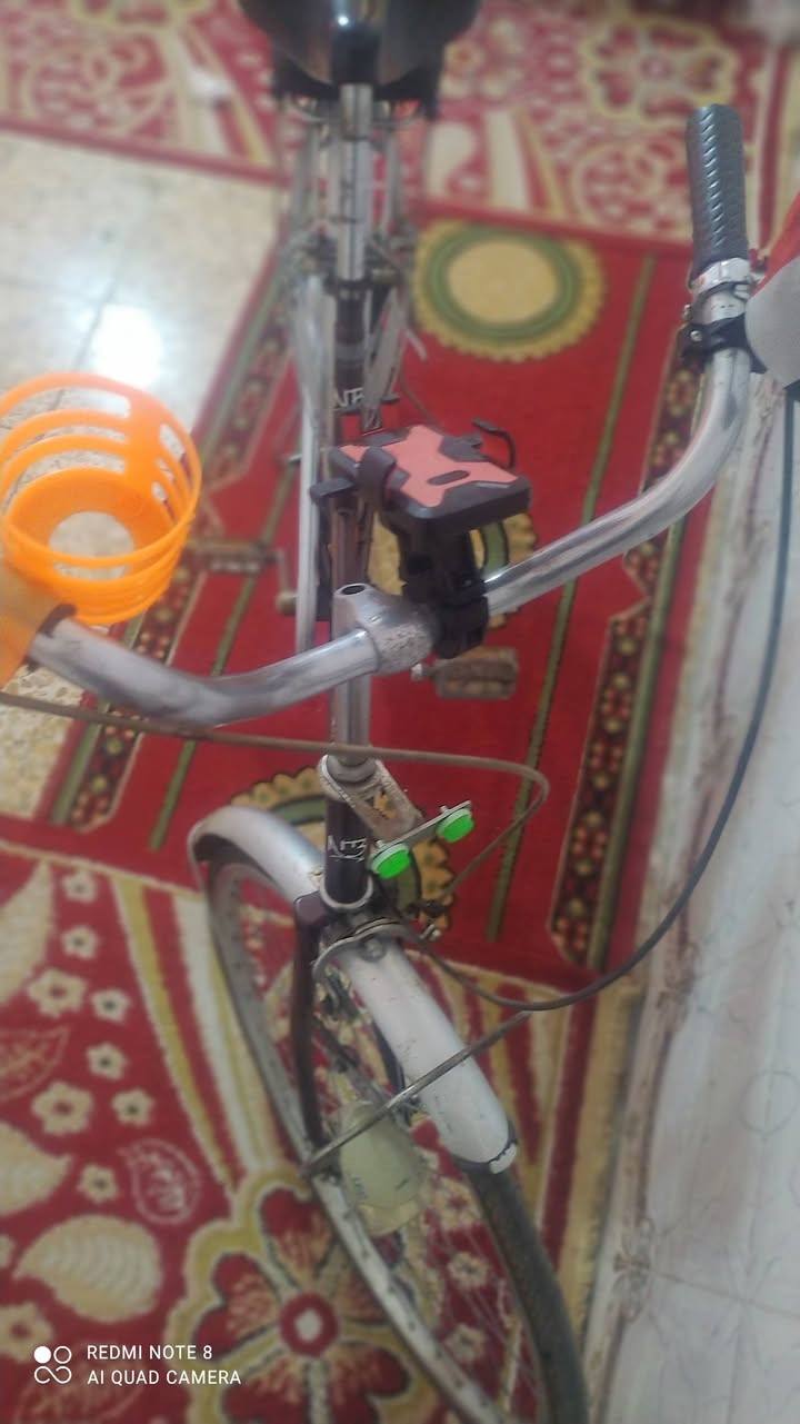 سلام عليكم
بايسكل للبيع 🚲

لون جوزي 🟤 طوخ

حجم 26 

نضافه 🛀 ٧٥ ٪

مكفول من الچاملغ للجاملغ 😁

السعر 💲 ١٠٠:٠٠٠ مع الغراض 

السعر 💲 ٨٥:٠٠٠ بدون غراض

عنوان 🏤 

الكوفه علوه الفحل قرب مخازن الموز

***********
واتساب فقط

