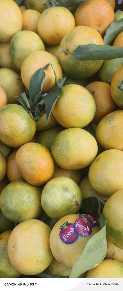 فواكه وخضرة • توصيل • علوه أبو حسن