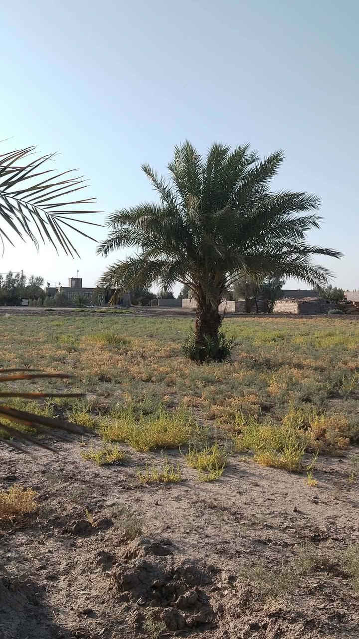 سلام عليكم دار للبيع  مساحته  3دونم 
يوجد فيا ماء اساله وكهرباء ومدرسه قريبه ++بتلو بيت كامل وتقع على الشارع  العنوان واسط قضاء الشحيميه  قريه السلام رقم ***********
