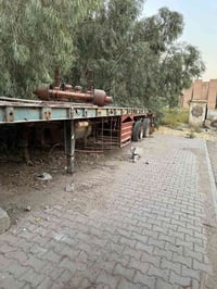 بلوم الماني • ٣ دناكير