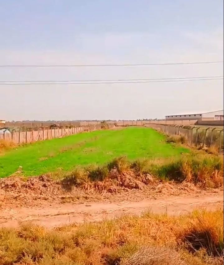 سند ٢٥ • مداور