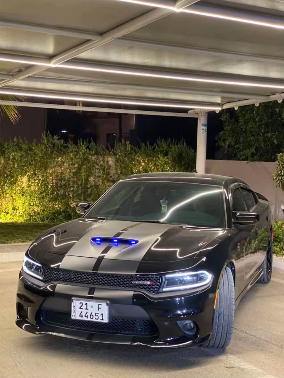 سلام و عليكم
دوج جارجر جی تی
مودیل ٢٠٢٢
سونر موجود
٩٦ الف کیلو ماشية
كلها بشرط
كامل سيرفز جديدة
مكان/سليمانية
٢٣٥$ مجال بسيط

***********
