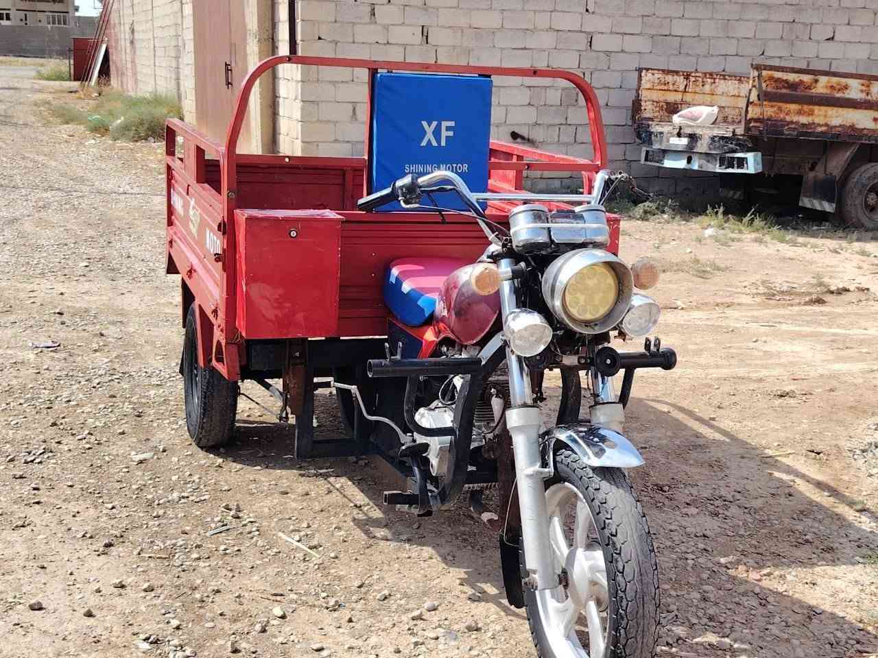 ستوتة • ٢٠١٩ • اوراق كاملة