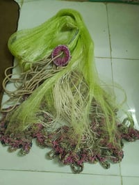 سلية • نظيفة • العين ٣٠