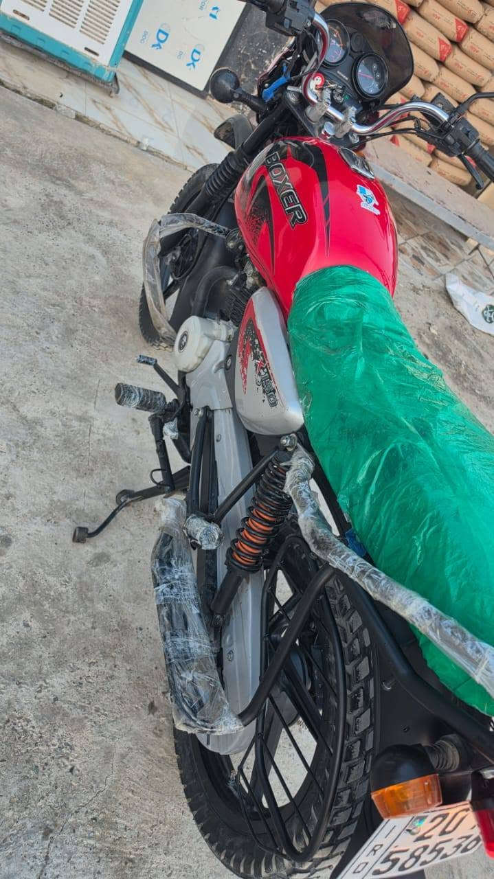 بوكسر • ٢٠٢٣ • مكفول