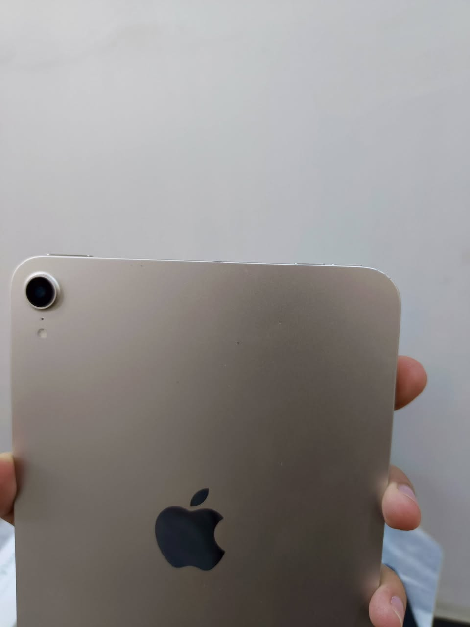 ايباد مني 6 ذاكرة 256
iPad Mini 6

جهاز نضيف وموضح بالصور بس مبدل 

أي سي وذاكرته 256 يجي كامل ملحقات الأصلية كارتون وشاحنه وكفر وقلم كوبي يدعم راحه اليد سعره 350 وبيه مجال للشراي ومتوفر توصيل لكل المحافظات
***********
