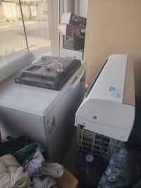 سبلت • مجمدة • سعر خاص