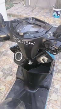سكنس • ياباني • مكفوله
