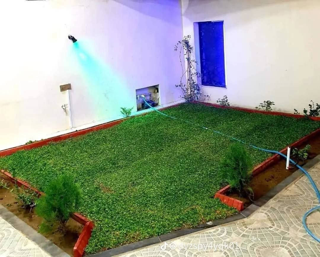 🍃مستـعدون🍂 ، لـترتيب🐦 الحدائق المنزلية 🏝️🏘️
وزراعة النباتات، 🌾🌴🌱والازهار، 🌼🌺🌻وقص الثيل.🌾🌾
وعمل الديكورات والتصاميم،الحديثة للحدائق،، بواسطة الاحجار الملونة 
ونعمل على تصميم الشلالات 💦والنافورات  التواصل 
على الرقم التالي (***********
