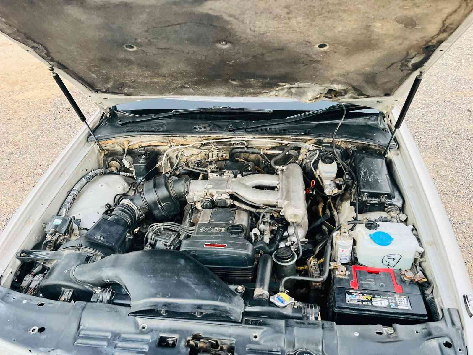 بطه منفصل • ١٩٩٥ • رقم نينوى