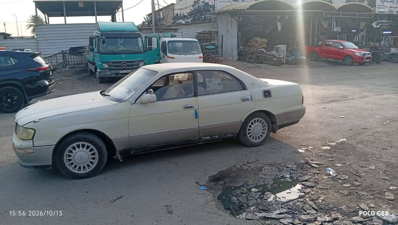 بطه • ابيض لؤلؤي • بغداد البياع