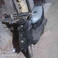 عصفورية • دراجه • للبيع