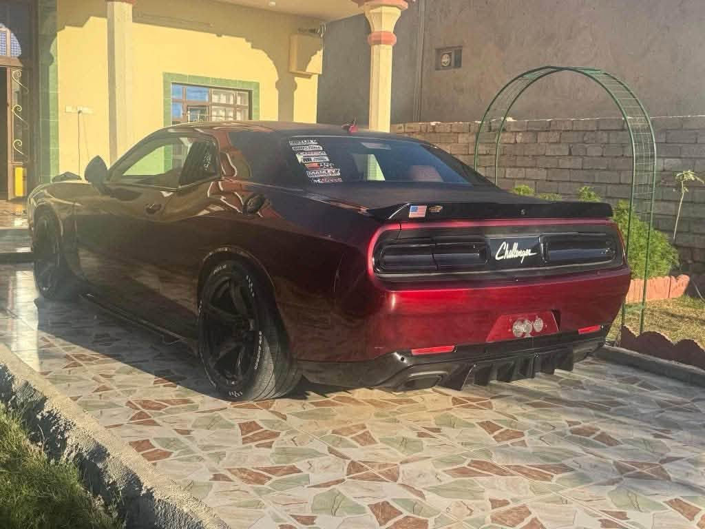 جالنجر RT • ٢٠١٧ • رقم بغداد