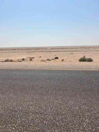 الأنبار • ٢٠٠٠ دونم • صالحه للزراعة