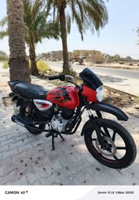 بوكسر جبلي • اوراق • 2022