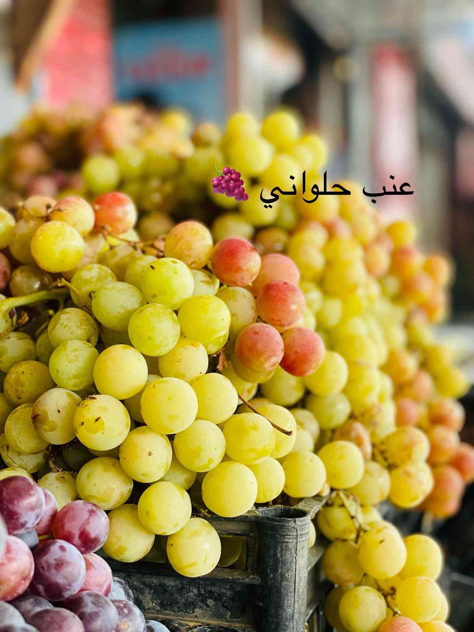 القياره • بطاطه سوري • عنب حلواني