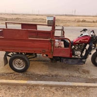ستوته سلطان • نظيفه • شاصي طق