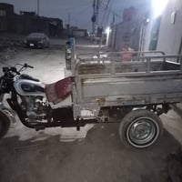 ستوته • ٢٠١٥ • اوراقه تعبانه