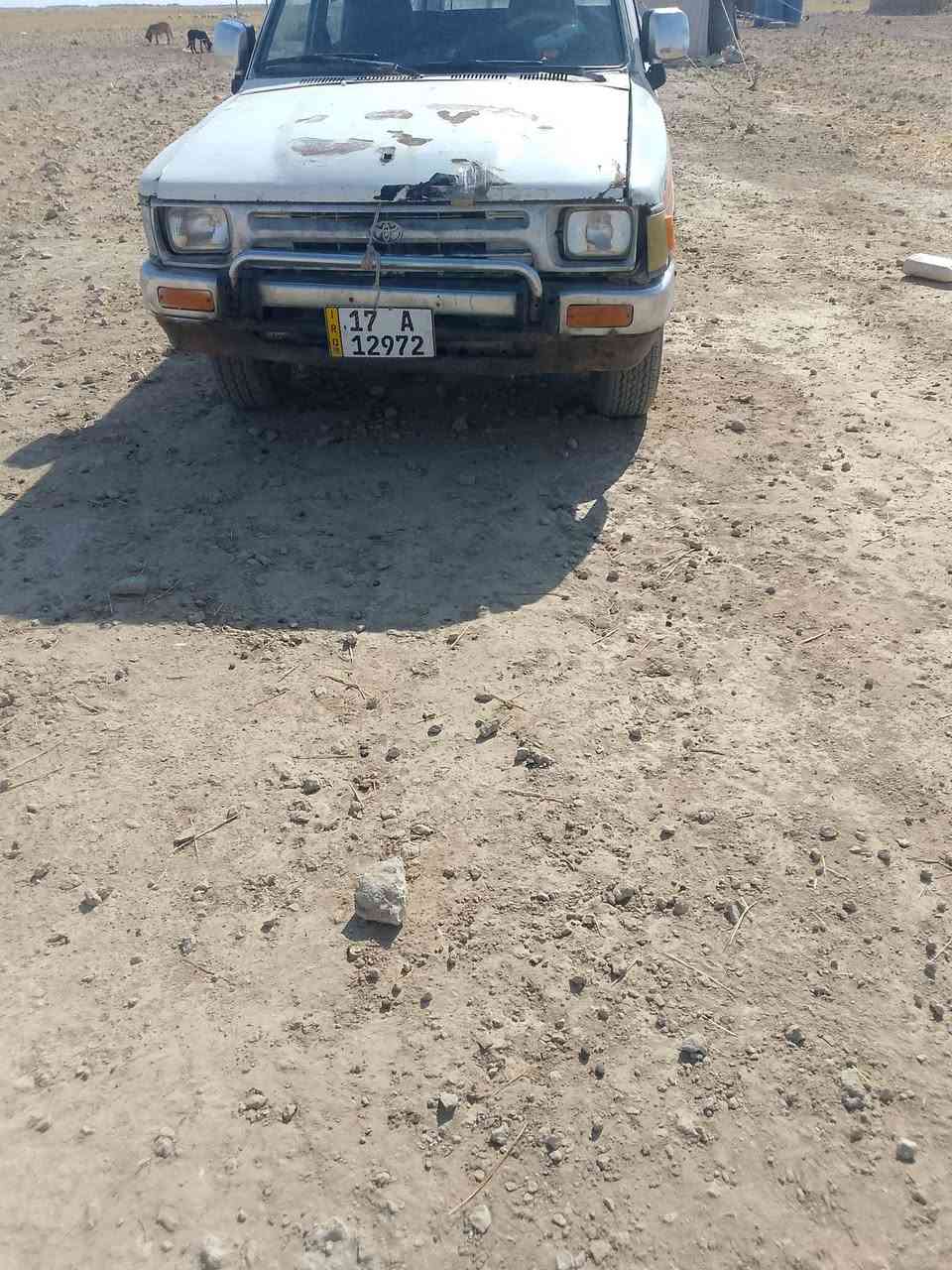 *********** سمر 55
