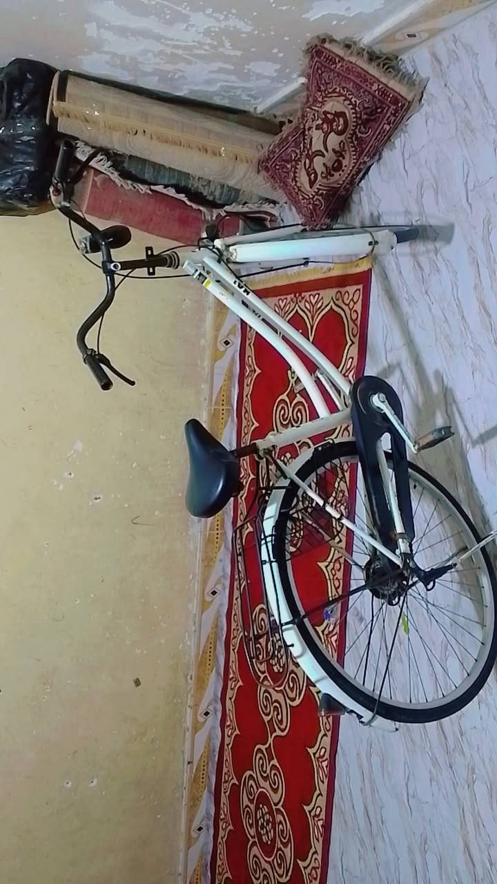 بايسكل سياحي باله مستعمل حجم 27 مديل 2019 مستعمل قليل وكلشي ما بي  سعره 75 نهايته كلش مكاني بصره دور الشرطه قرب شارع 30 لاستفسار واتساب فقط  ***********
