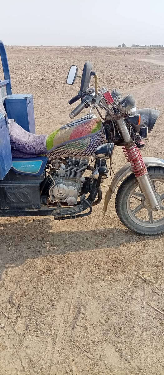 ستوته • ٢٠٢٠ • مكفولة