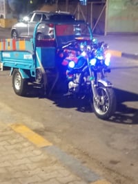 ستوته • ٢٠٢٢ • مكفوله ركبه وشاص