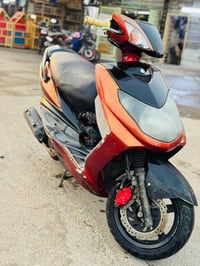 سكنس فحل • بلاديه • نقصه ذيل