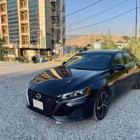 التيما • ٢٠٢٤ • بونيت سبغ