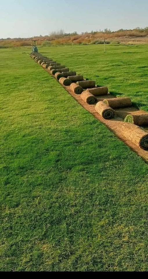 🌿 روّاد زراعة الثيل الطبيعي في ديالى! 🌿

📢 موسم جديد… جودة أعلى… وأسعار تنافسية!

💚 متوفر لدينا جميع أنواع الثيل الطبيعي:
✅ الثيل الأمريكي 🇺🇸 – جودة فائقة ومتانة تدوم.
✅ الثيل الهندي 🇮🇳 – لون زاهي ومقاومة عالية.
✅ الثيل الإيطالي 🇮🇹 – لمسة أوروبية ساحرة.
✅ الثيل الفرنسي 🇫🇷 – فخامة وأناقة خضراء.

🚛 التوصيل إلى باب بيتك!
🔹 فريق مختص يصل إليك أينما كنت.
🔹 تجهيز جميع المساحات: حدائق، ملاعب، متنزهات، مشاتل، ودوائر الدولة.
🔹 توصيل سريع إلى جميع المحافظات!

📌 الأسعار تنافسية وتختلف حسب النوع.

📞 لطلب الثيل أو الاستفسار، تواصل معنا عبر:

📱 ***********

🌱 أضف لمسة طبيعية لمنزلك أو مشروعك الآن!
