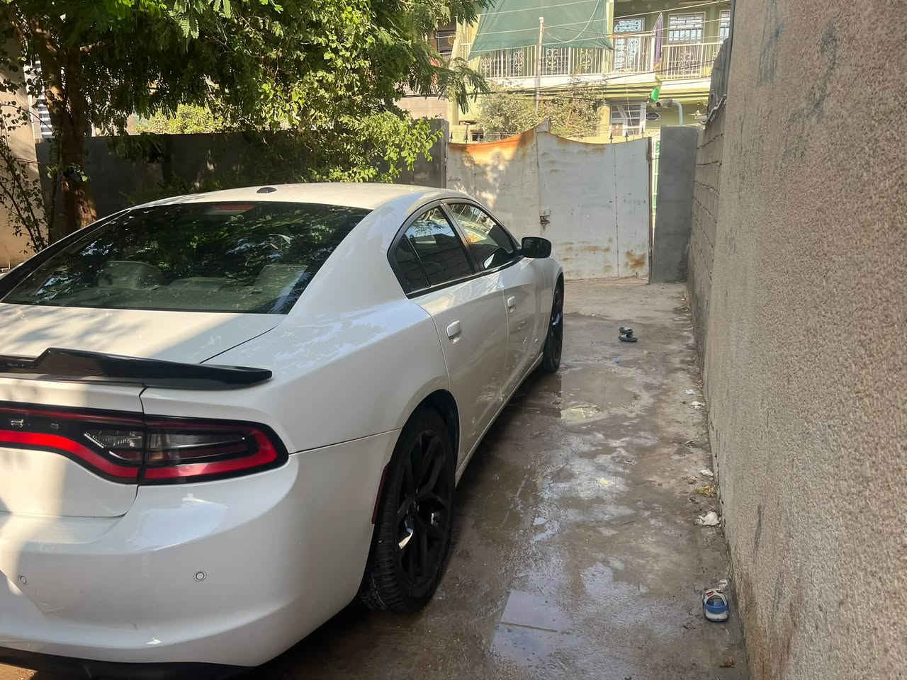 سياره دوج جارجر SXT بلص 2021 اصل
ضرر بسيط ومعدل عبارد بالجامخ الامامي 

بدون تبدل بدون صبغ 

 محرك كير كفاله عامه 

المواصفات:

مقاعد جلد 

مقعد الامامي تدفئة و تبريد 

مقاعد الخلفي تدفئة

مقعد خزن ميموري 

مقاعد كهرباء

ستير تدفئة 

حساسات خلفية

ماشيه 103 الف ميل

بصمة تشغيل 

تشغيل عن بعد 

السياره جاهزه من كلشي 

استخدام شخصي 

سنويه لغايه 2031

رقم بغداد

مكاني ديالى

السعر 235 وبيها مجال

***********
