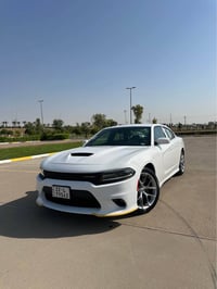 جارجر GT • كندي • اربيل